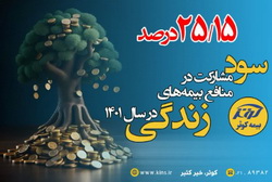 رشد ۲۵٫۱۵ درصدی سود مشارکت بیمه های زندگی بیمه کوثر در سال ۱۴۰۱