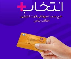 افزایش ۲/۵ برابری سرمایه در طرح تسهیلاتی «کارت اعتباری انتخاب پلاس» بانک ایران زمین