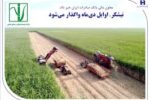 «نیشکر»، اوایل دی‌ماه واگذار می‌شود