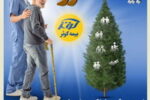 رونمایی از «طرح سرو» بیمه کوثر