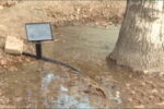 در راستای مدیریت مصرف آب؛ منطقه ۲ تهران به شبکه هوشمند آبیاری مجهز می‌شود