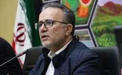 بانک توسعه تعاون، نماد ارتقای اقتصاد تعاونی پس از انقلاب