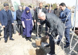 کاشت نهال دوستی توسط سفرای کشورهای خارجی در بوستان پردیسان