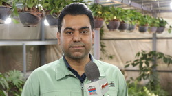  توزیع ۵۵۰۰ گل آپارتمانی میان کارکنان فولاد هرمزگان