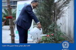 مدیران بانک تجارت «نهال دوستی» کاشتند