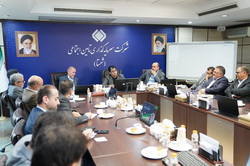 مرکز ثقل راهبردهای شستا در سال ۱۴۰۴؛ سرمایه گذاری برای تولید
