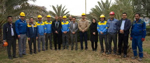 کارکنان «پتروشیمی بوعلی سینا» در روز ملی درختکاری، نخل کاشتند