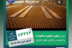 غلبه بر چالش‌های انرژی در فروردین ۱۴۰۴؛ فولاد اکسین با تولید ۸۴,۲۷۲ تن اسلب رکوردشکنی کرد