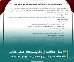 دوازده سال حمایت « مبین انرژی» از گونه لاکپشت منقار عقابی