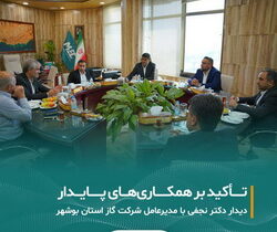 دیدار دکتر نجفی با مدیرعامل شرکت گاز استان بوشهر؛ تأکید بر همکاری‌های پایدار