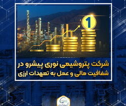 پتروشیمی نوری پیشرو در شفافیت مالی و عمل به تعهدات ارزی