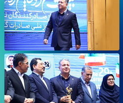 تندیس صادرکننده نمونه کشوری به پتروشیمی پارس اعطا شد
