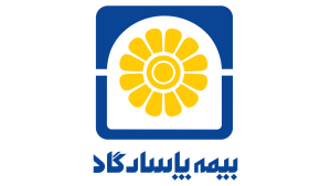 بیمه پاسارگاد، رتبه های تک رقمی، رشدهای دو رقمی  