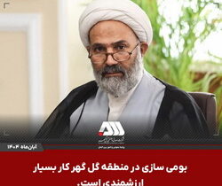 بومی سازی در منطقه گل گهر کار بسیار ارزشمندی است