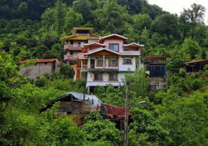 تیشه زمین خواران بر ریشه جنگلها؛ نَفس های شمال ایران، به شمارش افتاد