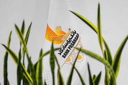 تجلیل از مدالآوران المپیادهای علمی ۲۰۲۵ در آیین بیستمین سالروز بانک پاسارگاد