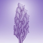 پیشتازی رشد منابع و مصارف بانک اقتصادنوین از متوسط نظام بانکی