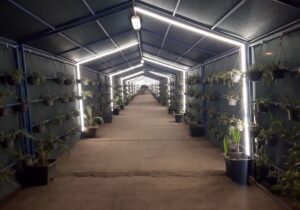 مسیرعبور کارکنان فولاد هرمزگان با طراحی سبز،بازآفرینی شد