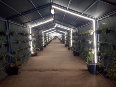 مسیرعبور کارکنان فولاد هرمزگان با طراحی سبز،بازآفرینی شد