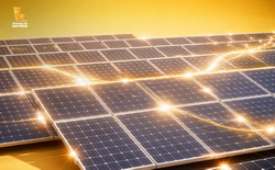 با حضور وزیر کشور؛ نیروگاه خورشیدی ۲۰ مگاواتی پاسارگاد به بهره‌برداری رسید