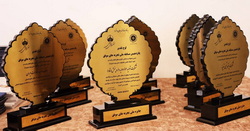 نشان افتخار جشنواره ملی بهره‌وری برای «دی‌دار»/ بیمه دی بر سکوی نخست تحول دیجیتال      
