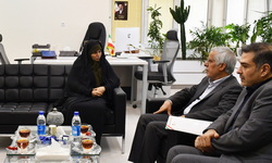 پیگیری عملیاتی ایجاد ژئوپارک و پتانسیل‌یابی ذخایر معدنی در شهرستان نائین