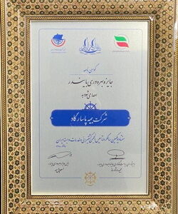 لوح زرین جایزه ملی بهره‌وری «بایندر» به شرکت بیمه پاسارگاد رسید