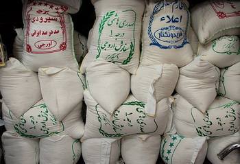 با افزایش ۲۵۰ درصدی؛ برنج  هم از سفره کارگران پر کشید / قدرت خرید کارگران به یک‌سوم رسید!